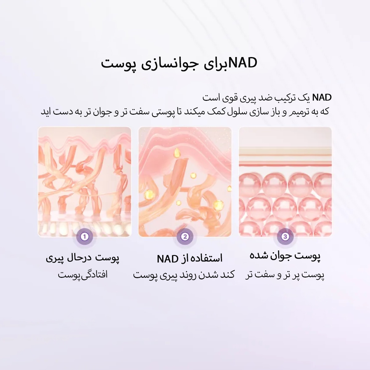 نتایج استفاده از nad