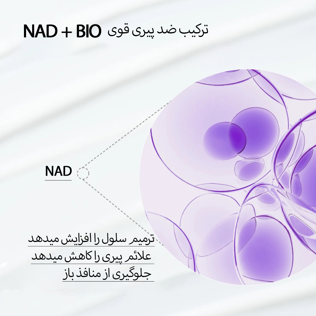 ترکیبات nad+bio جوانساز نامبوزین