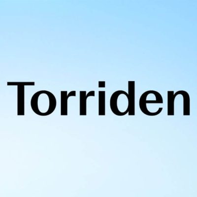 logo torriden
