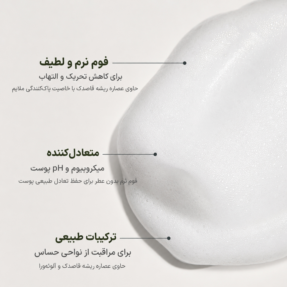 شوینده بانوان آروماتیکا 6 فوم شوینده بانوان آروماتیکا